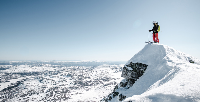 53937659971 Cd87abed2f O