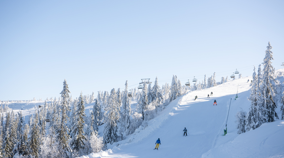 Skidakning Grupp DSC1537