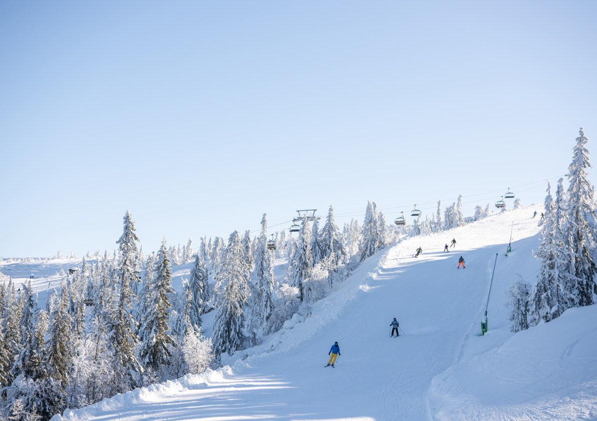 Skidakning Grupp DSC1537