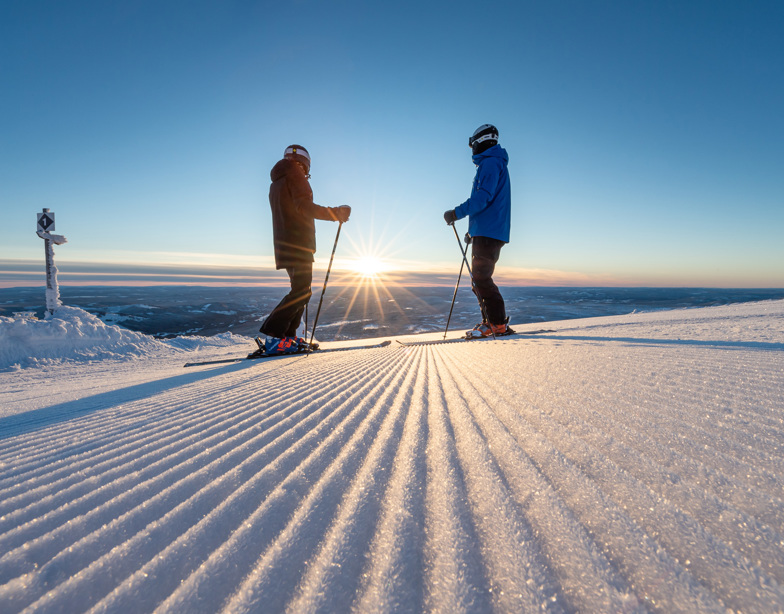 51159434373 D89a02ce8d O