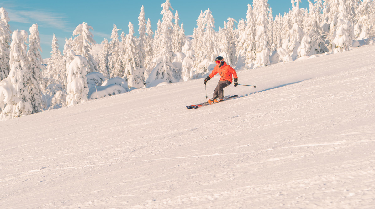 53937903140 21Fdb52cd7 6K