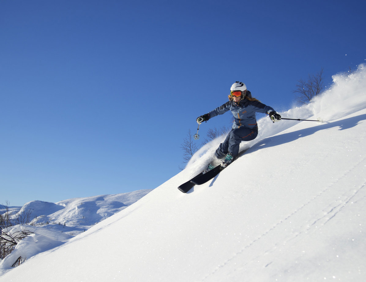 49551857951 A708b9ff14 K