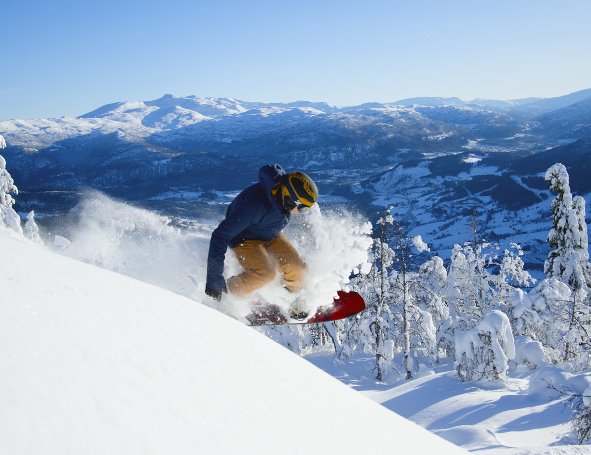 49552082382 0432F09ec0 6K