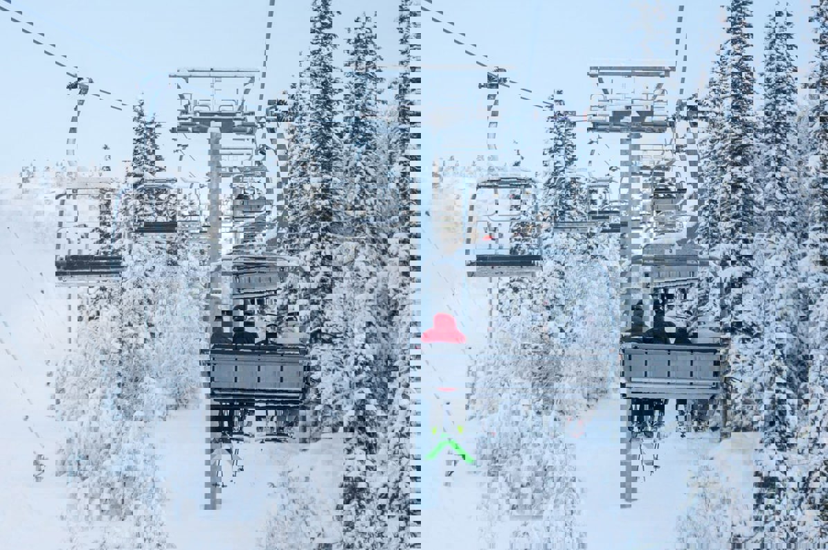 53937999204 0D7c6f912d O