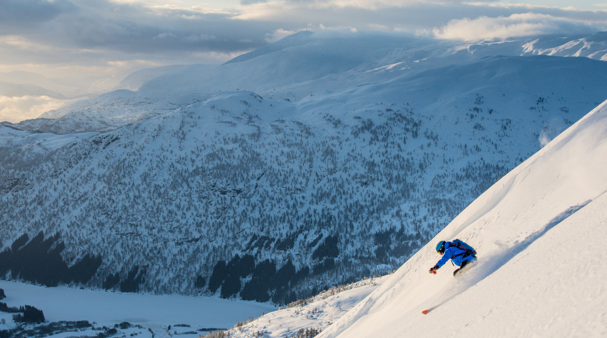 50326309583 C1ea8bd326 6K