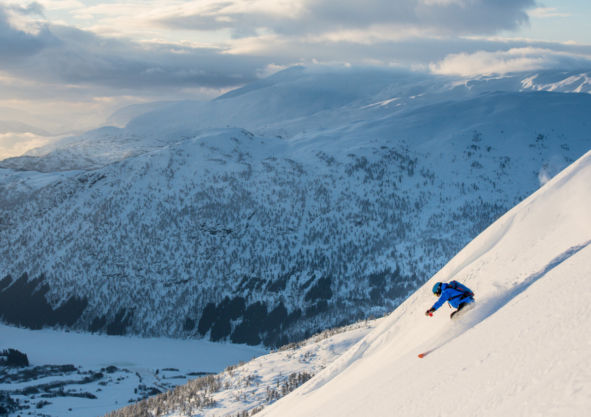 50326309583 C1ea8bd326 6K