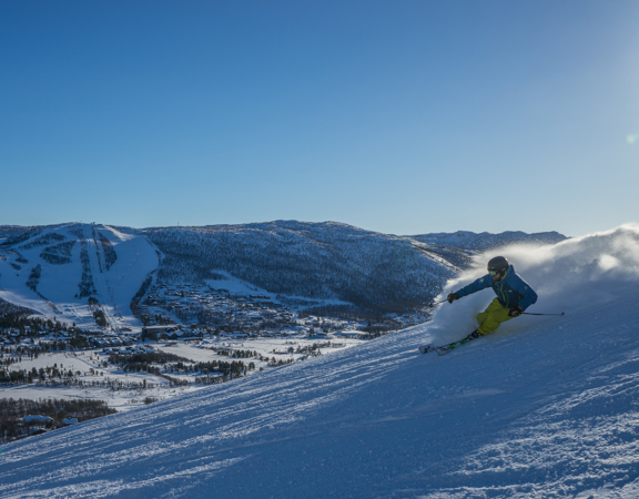 48636213586 424Aa206cc O