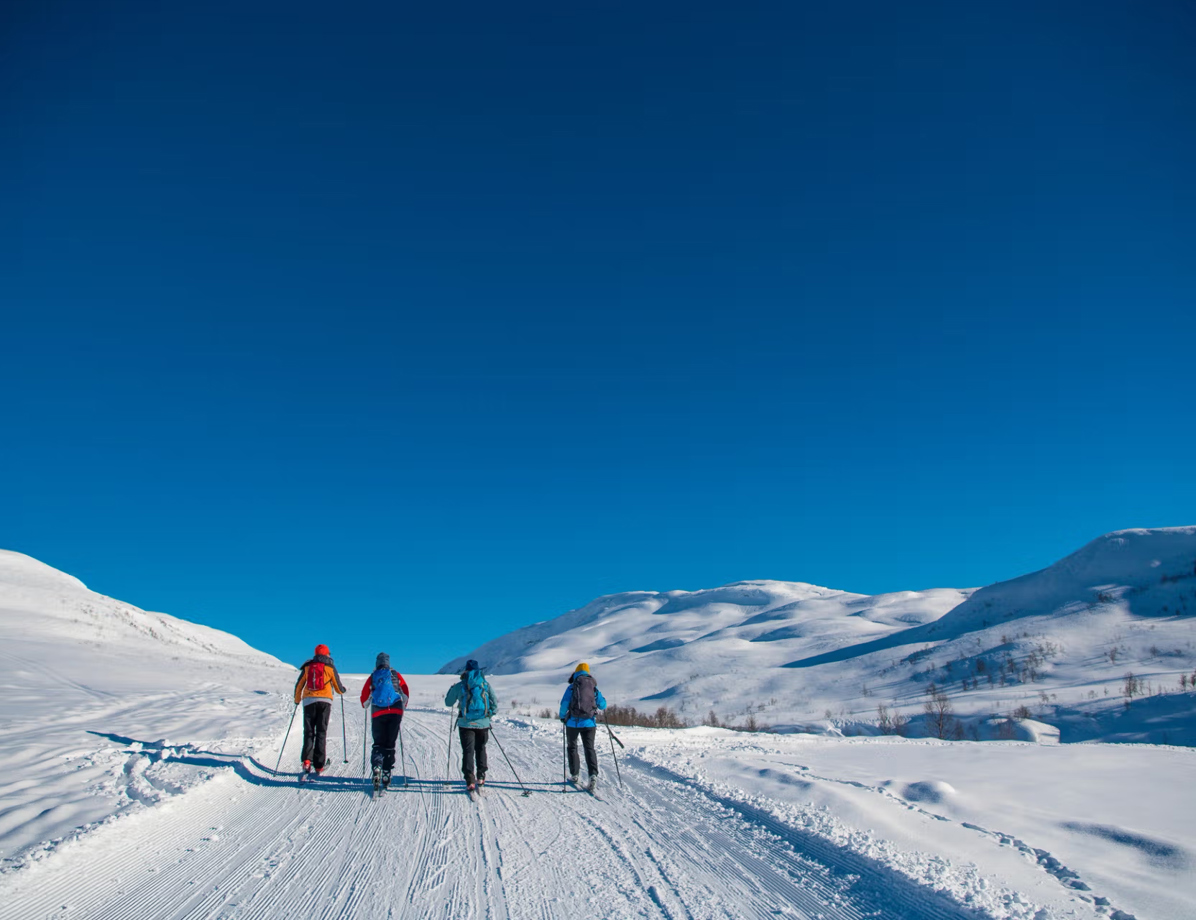 84C17b6196532eab1f9bfc315817d6b2f8f9983b 8256X5504