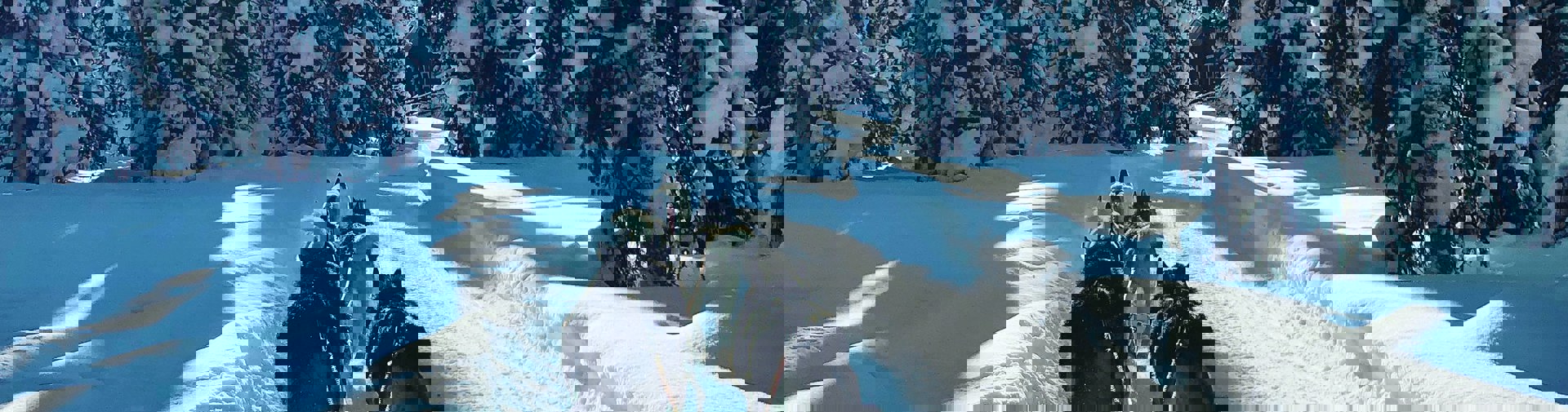 Simon Smith B4qbdlnius0 Unsplash