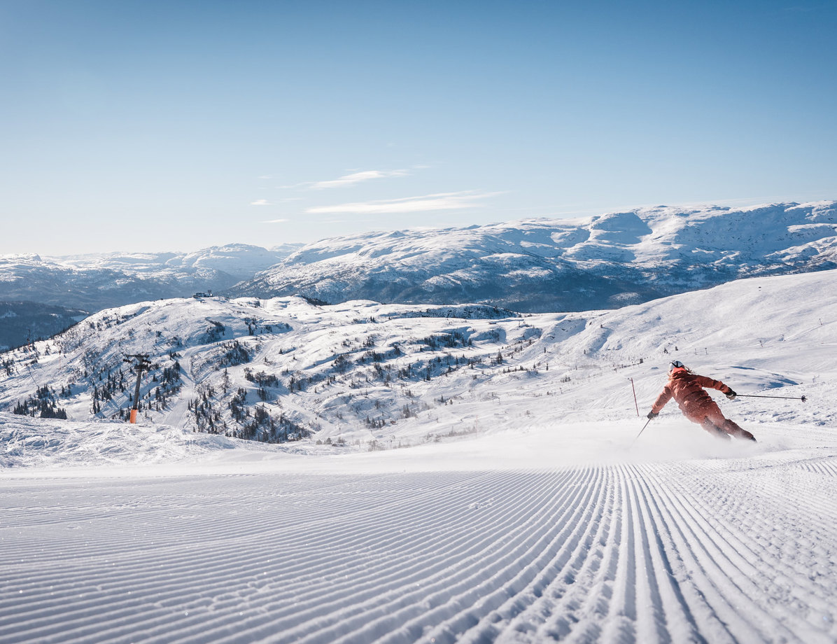 49551397073 A45090fcf9 K