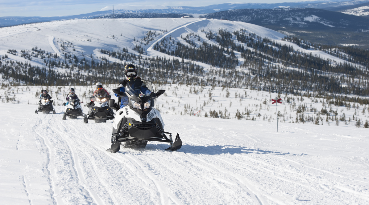 Snöskoter Safari MDD8508
