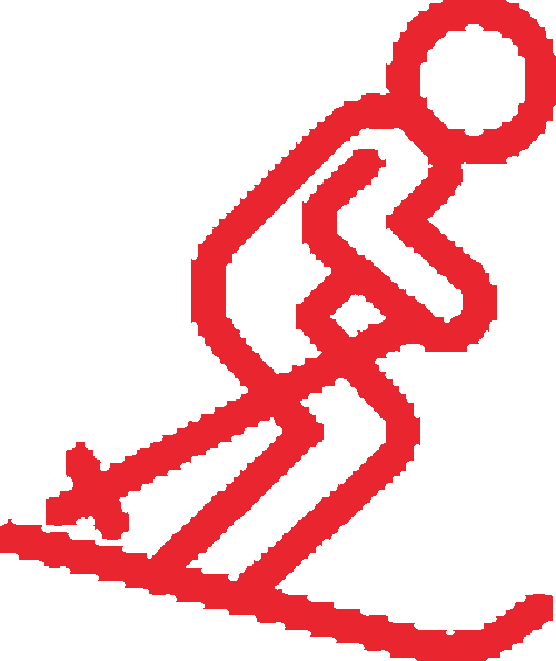 Icon Ski School Lv3