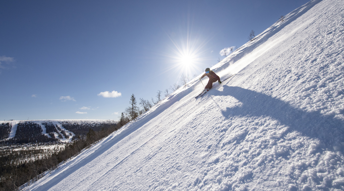 52186202528 56Aa9d7efb O