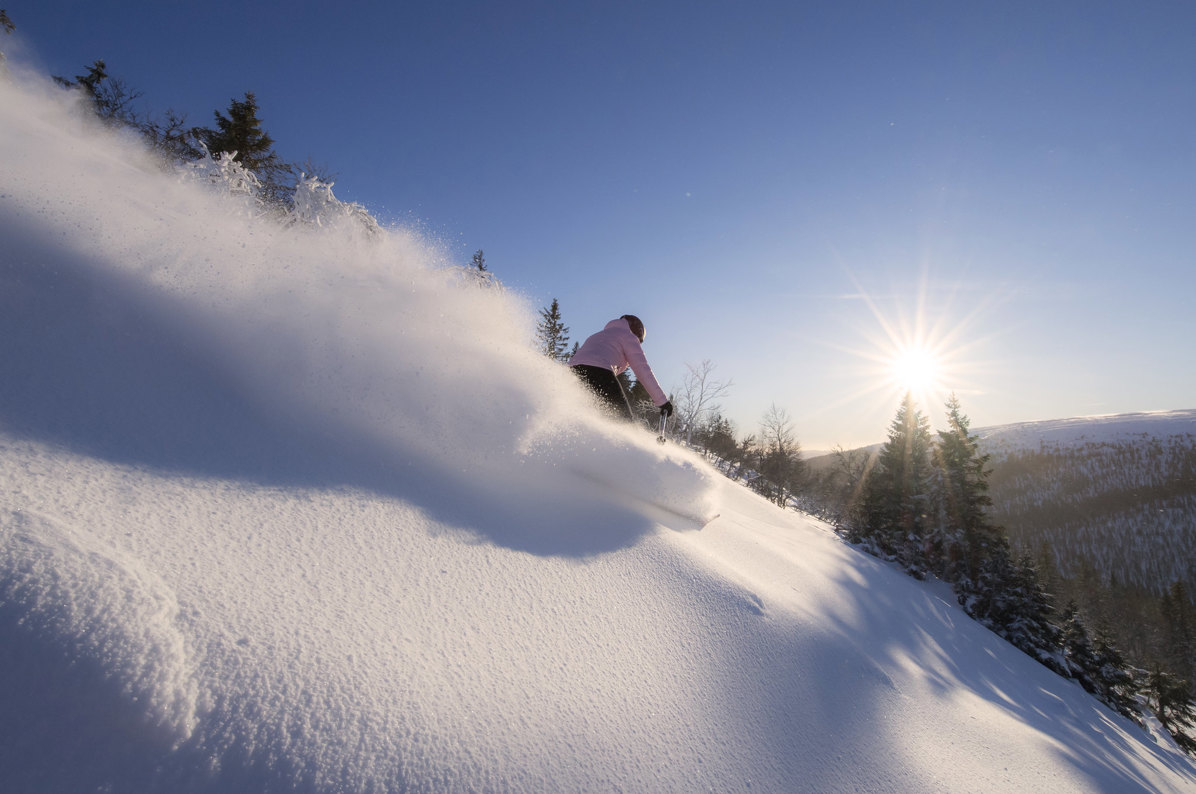 32902714547 774984Cae5 K